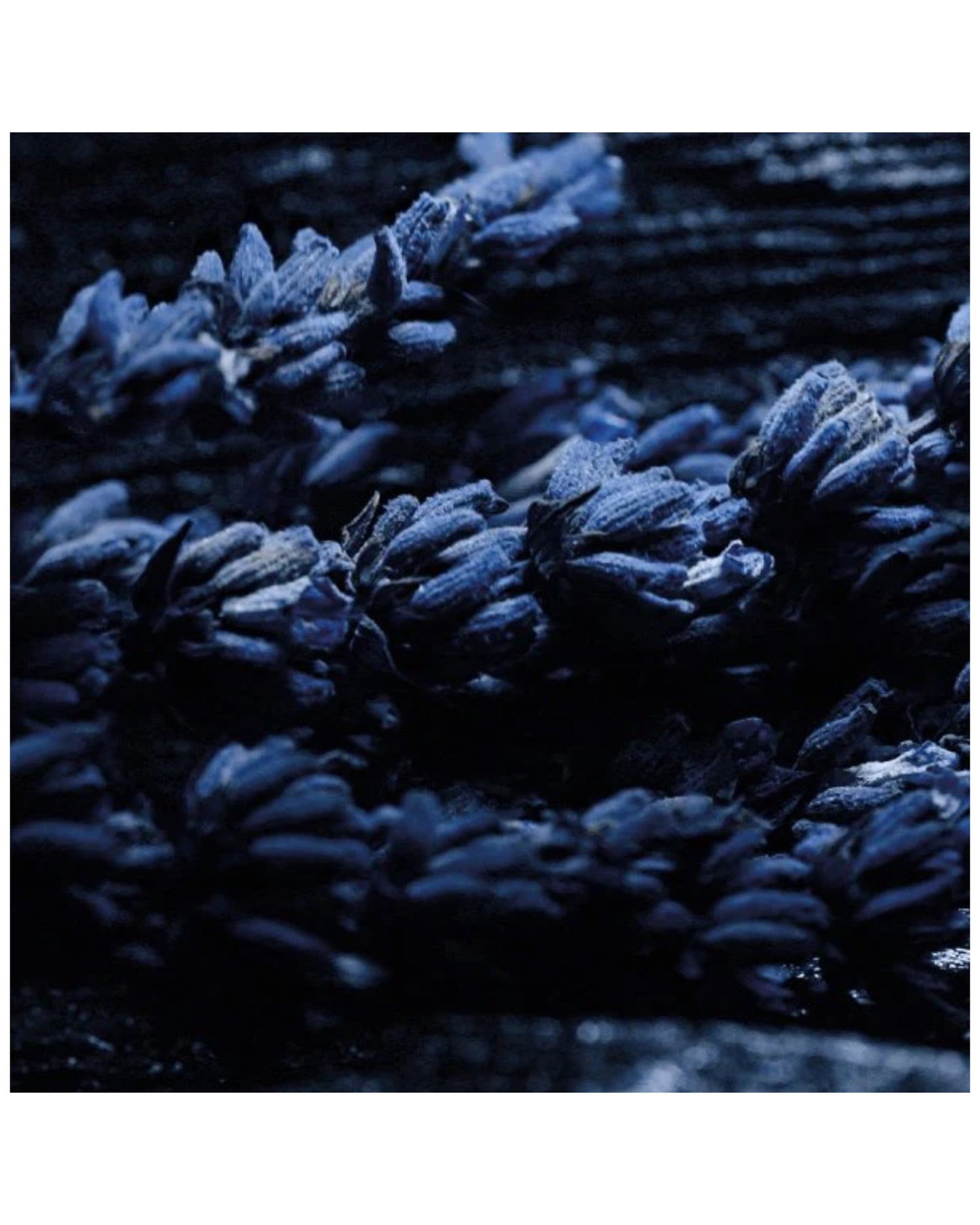 SAUVAGE ELIXIR - DIOR Eau De Parfum