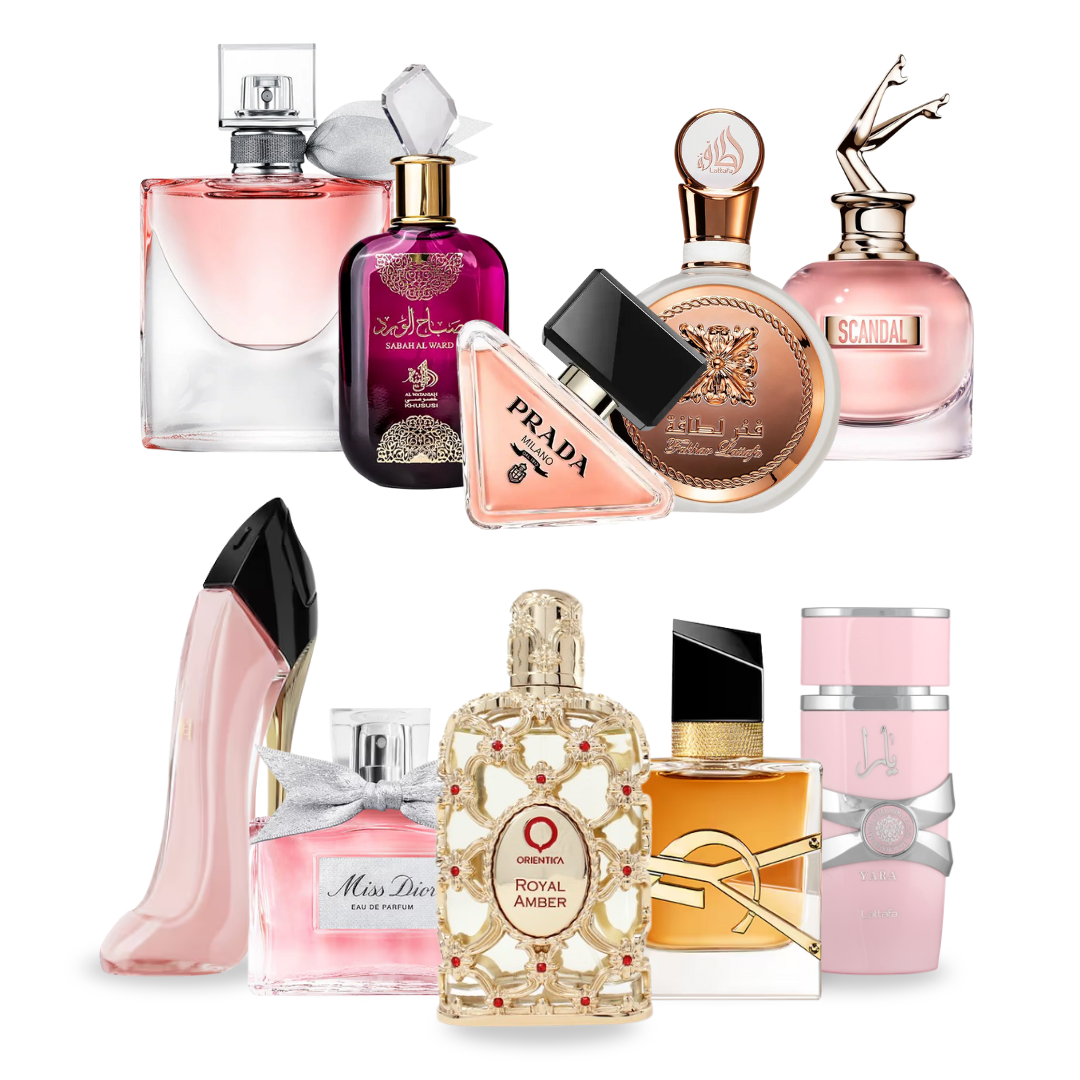 BLACK FRIDAY – Combo 10 Perfumes Femininos (100ml) – Good Girl, La Vie Est Belle, Libre, Prada Paradoxe, Miss Dior, Scandal, Yara, Fakhar Rose, Sabah Al Ward, Royal Amber